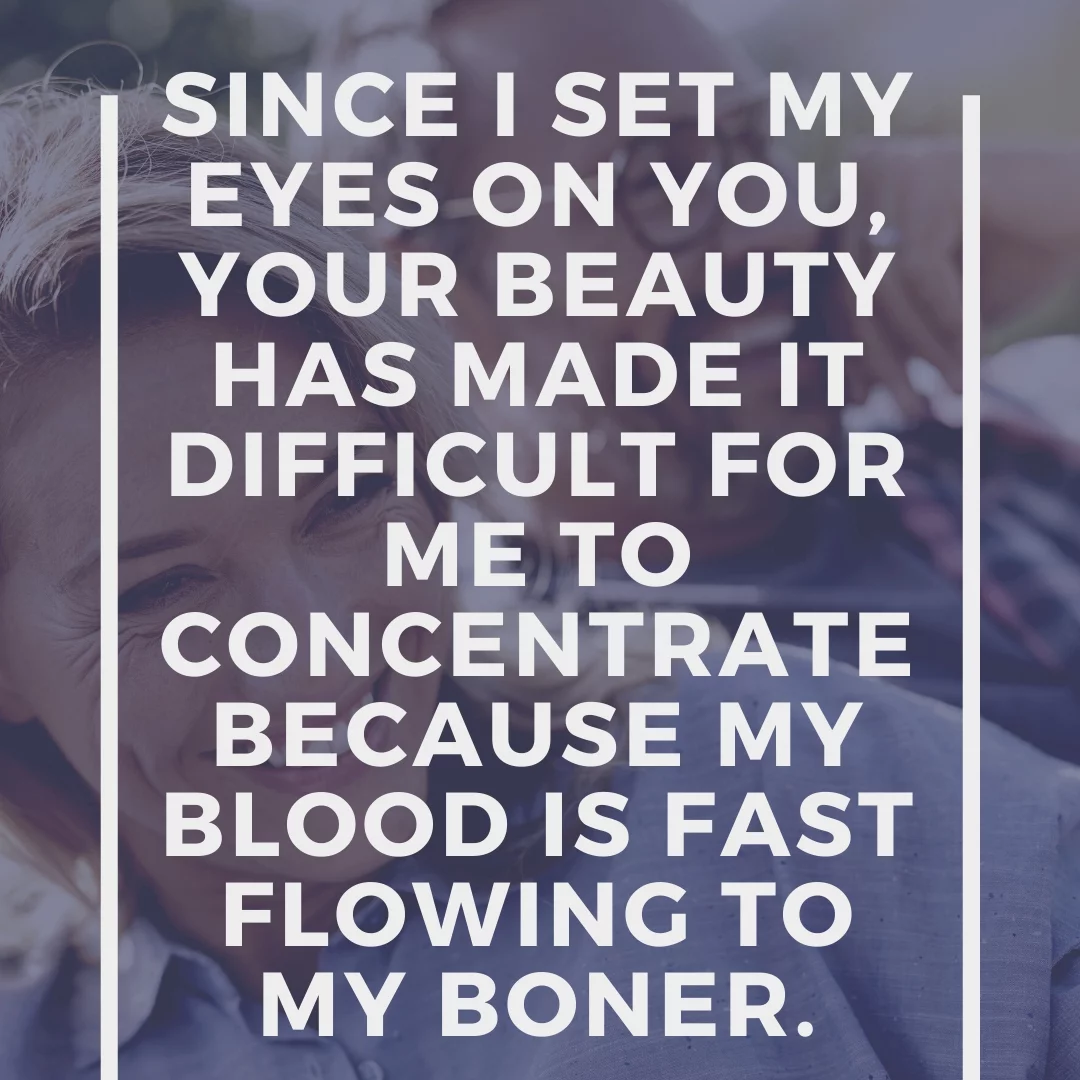 Since I set my eyes on you, your beauty has made it difficult for me to concentrate because my blood is fast flowing to my boner.