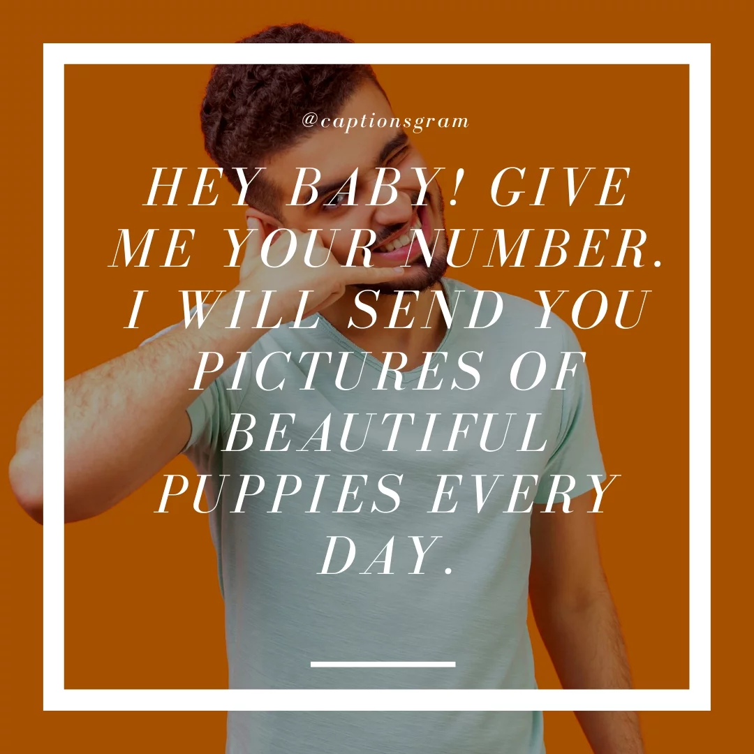Hey baby! Give me your number. I will send you pictures of beautiful puppies every day.