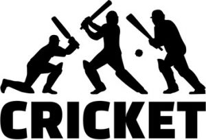 cricket word