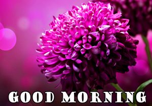 flower-good-morning-image
