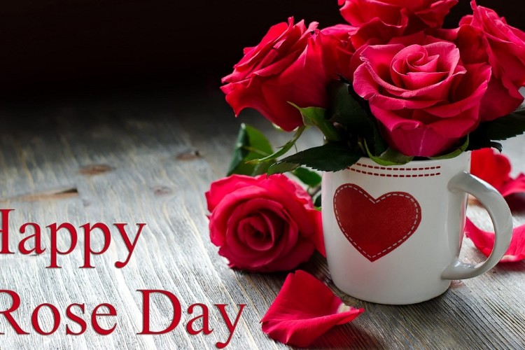 Happy Rose Day Status & Love Wishes!