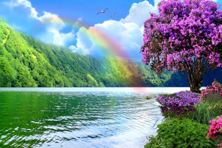 Nature Status & Quotes For A Nature Lover