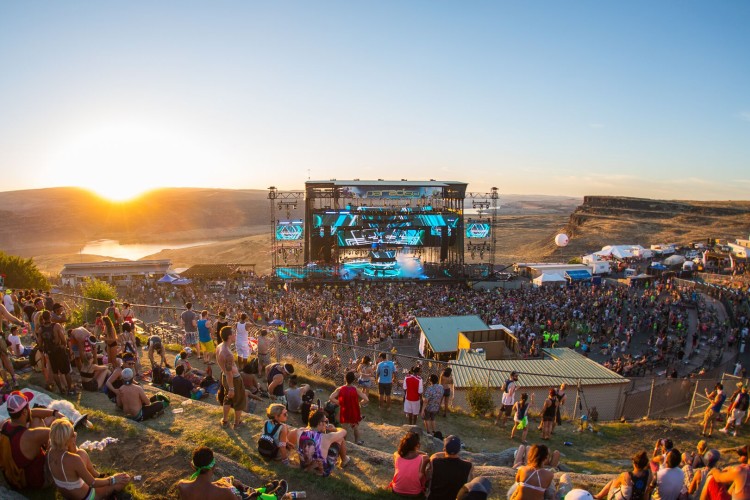 Paradiso Festival Quotes for Instagram
