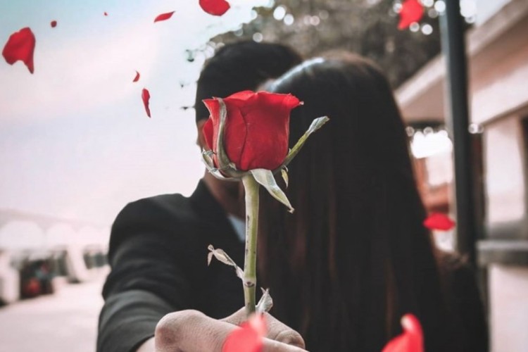 35+ Best Roses are Red Pick Up Lines