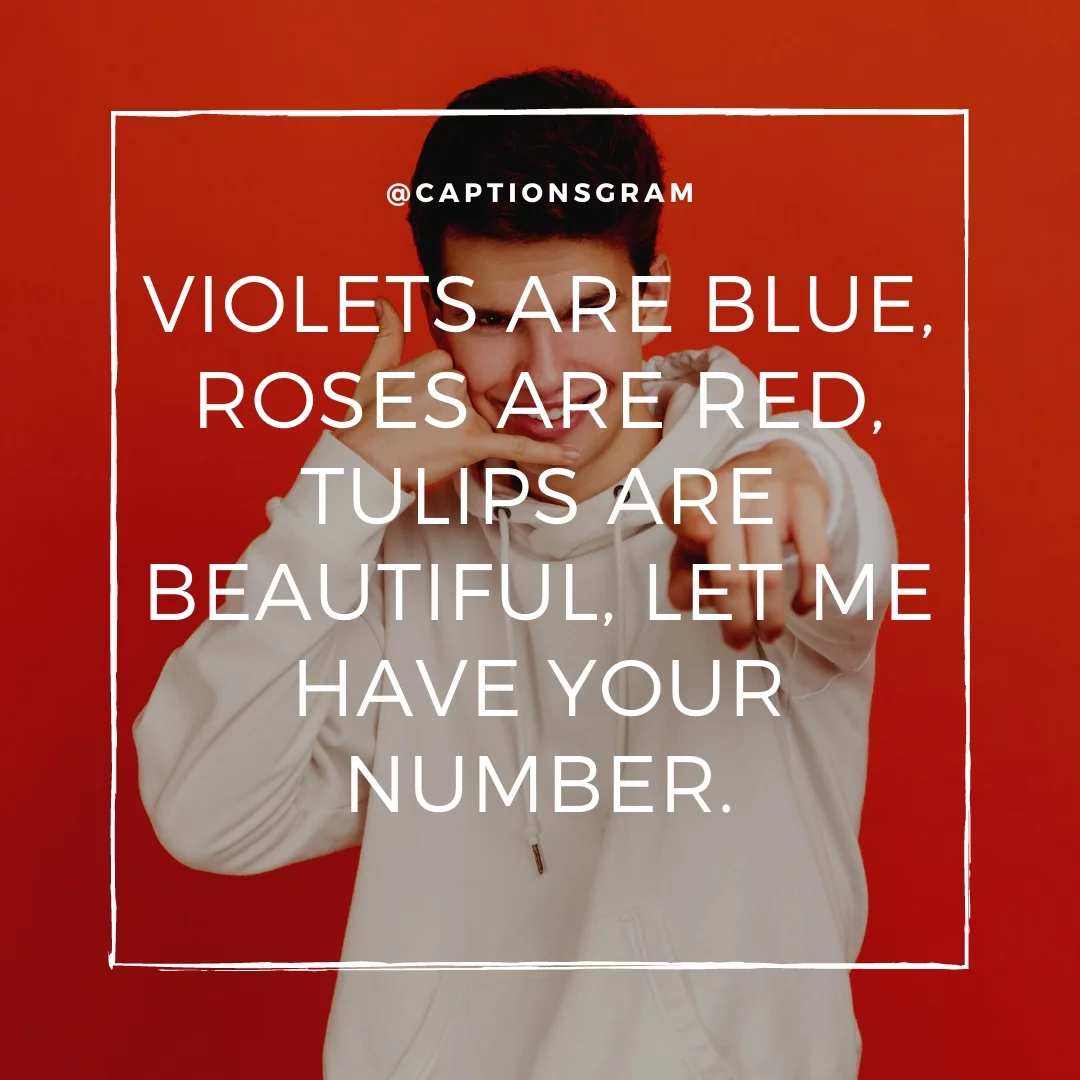 Violets are Blue, Roses are red, Tulips are beautiful, let me have your number.