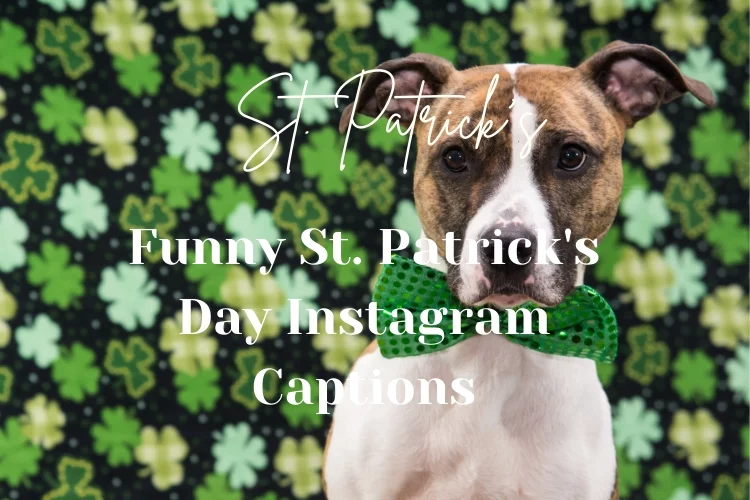Funny St. Patrick's Day Instagram Captions
