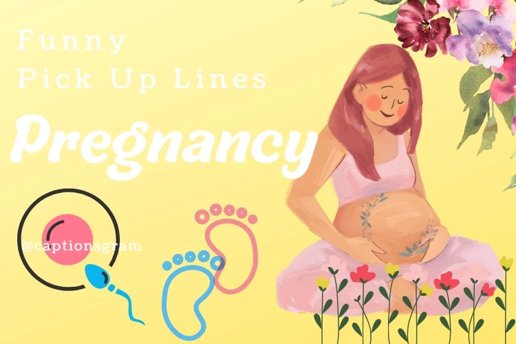 Funny Pregnancy Pick Up Lines