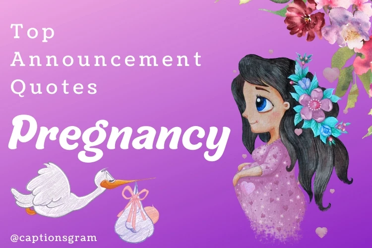 Top Pregnancy Announcement Quotes
