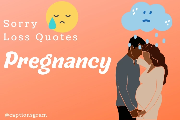 Sorry Pregnancy Loss Quotes