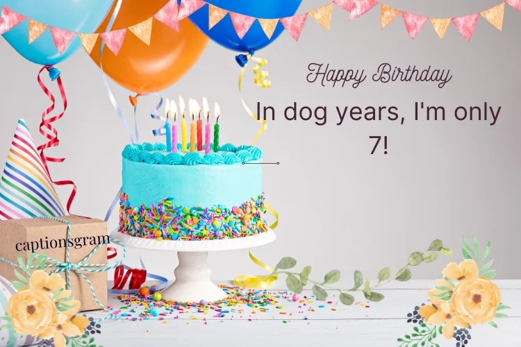 In dog years, I'm only 7!