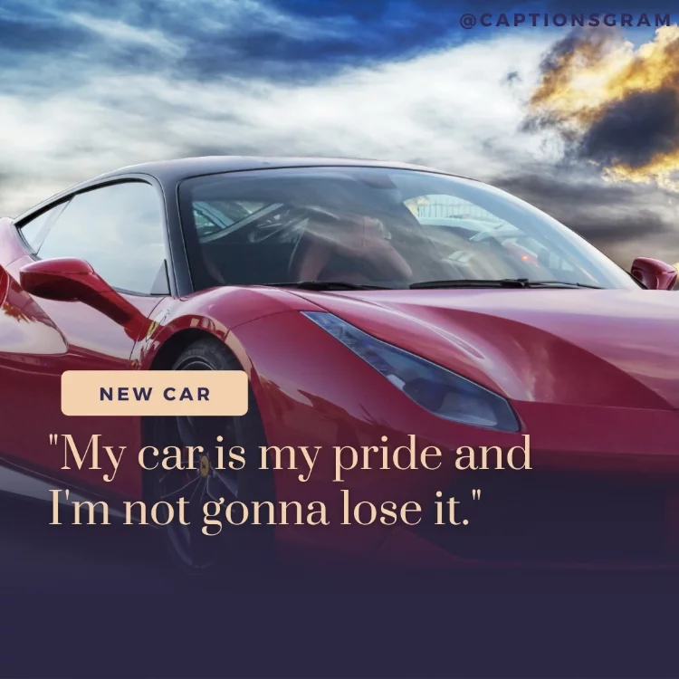 "My car is my pride and I'm not gonna lose it."