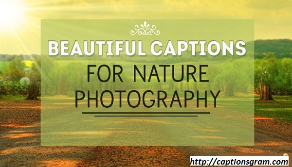 Inspiring – Beautiful Captions Nature Photography !