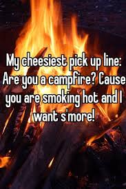 Best Campfire Pick Up Line