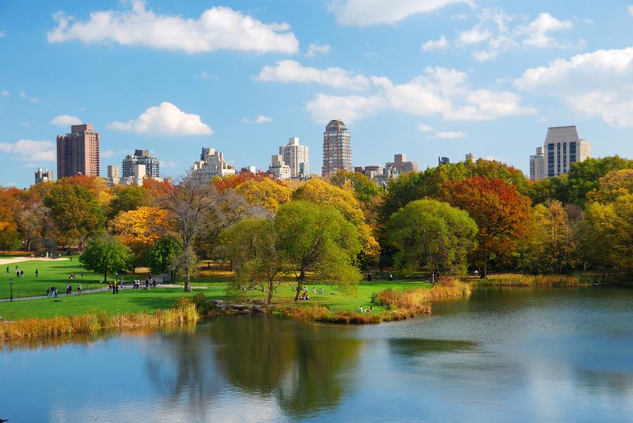 32 Best Central Park Captions For Instagram - captionsgram