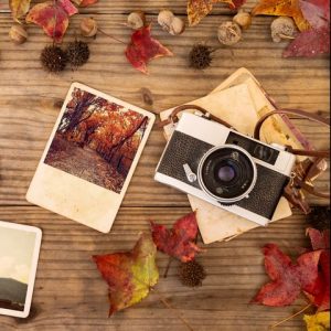 Best Fall Captions for Instagram