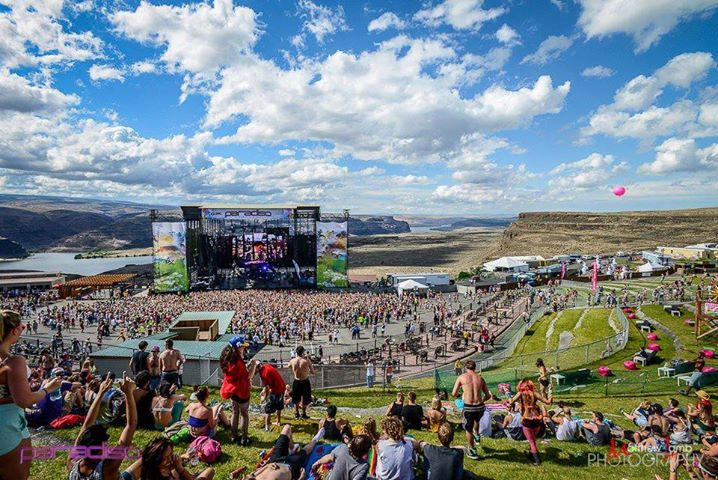 Paradiso Festival Quotes for Instagrams