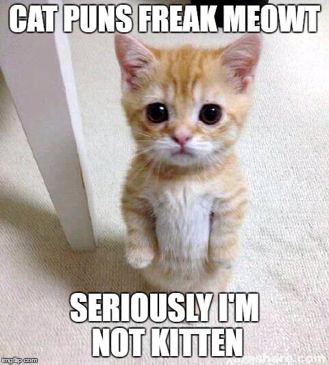 best cat puns