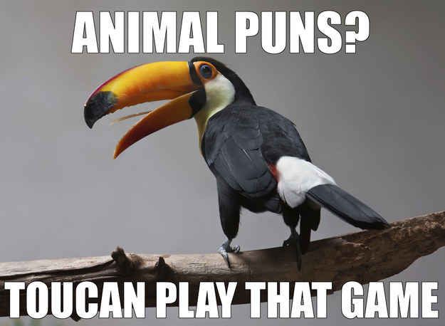 Best Funny and Lovely Animal Puns