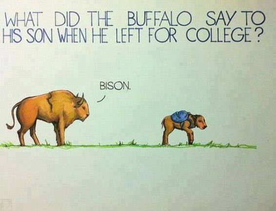 best puns for college