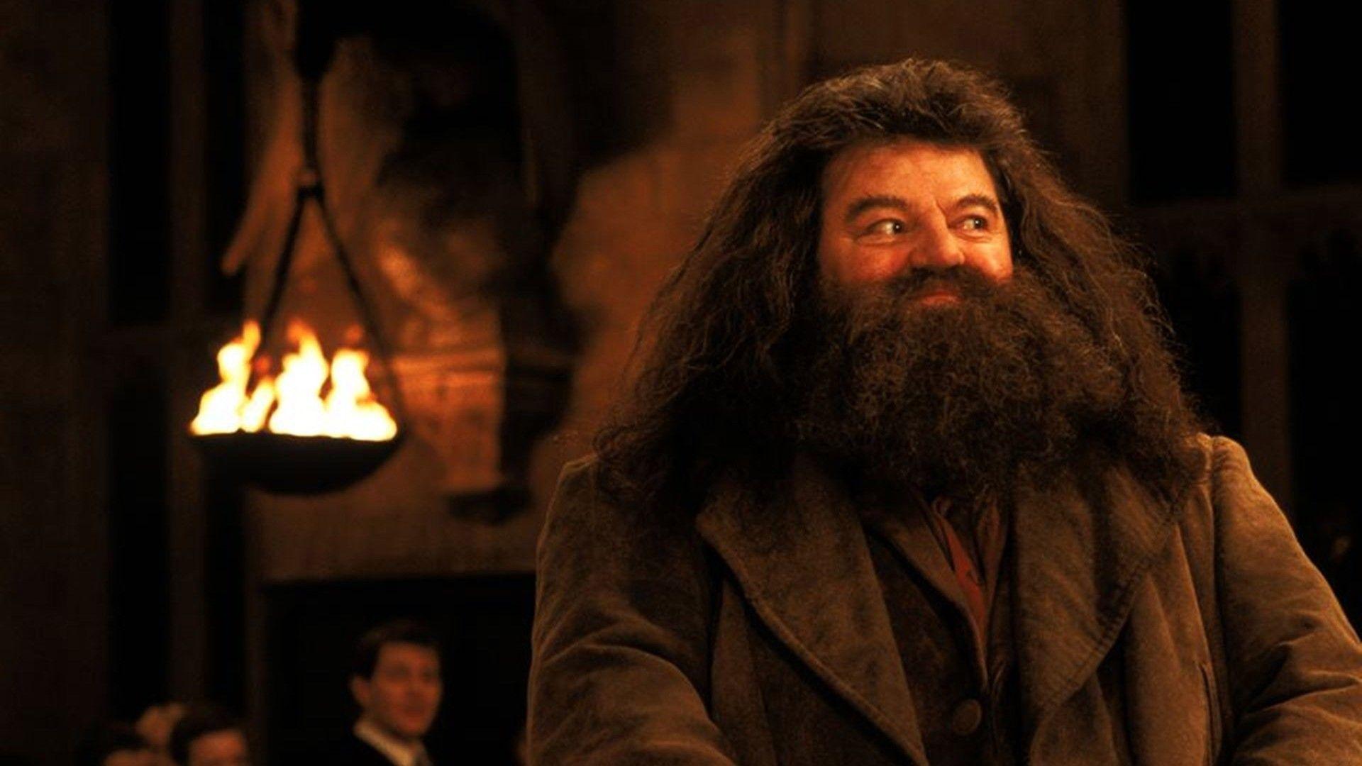 Best Hagrid Quotes And Saying