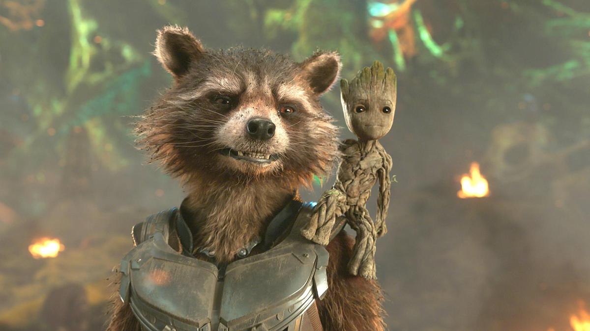 15 Fantastic Rocket Raccoon Captions for Instagram | CaptionsGram