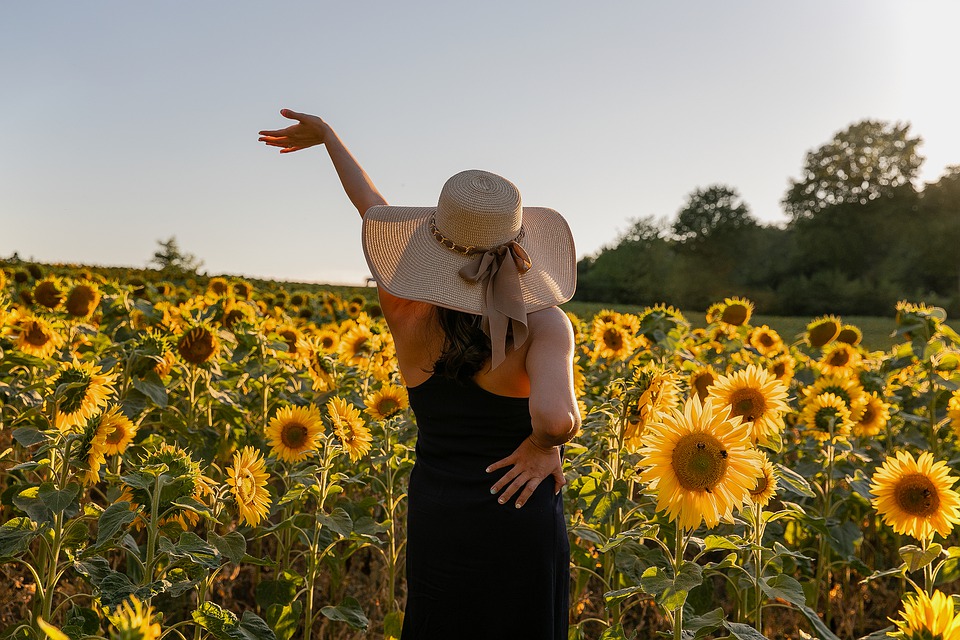 Sunflower Captions For Instagram 