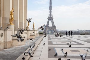 Catchy Paris Instagram Captions
