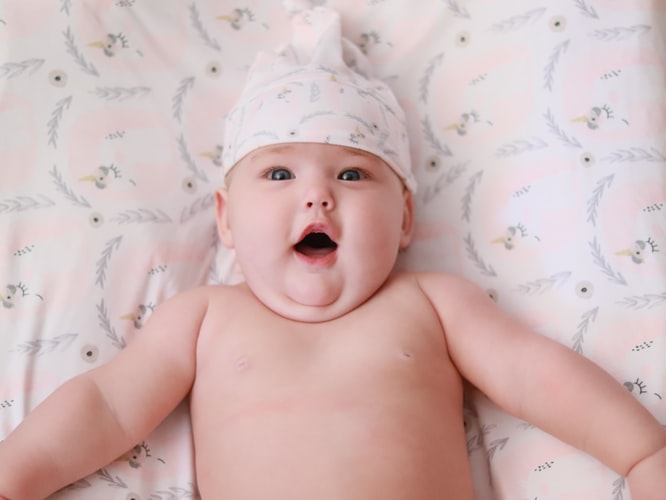 Chubby Baby Quotes