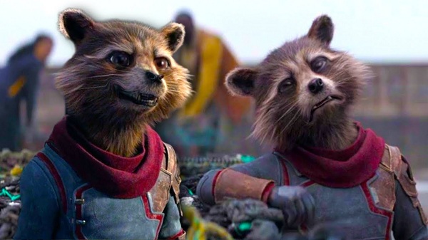 Fantastic Rocket Raccoon Captions for Instagram