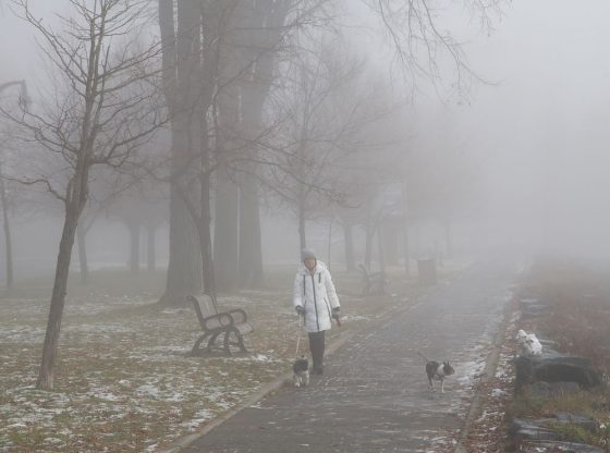 21 Foggy Day Instagram Captions And Quotes Captionsgram