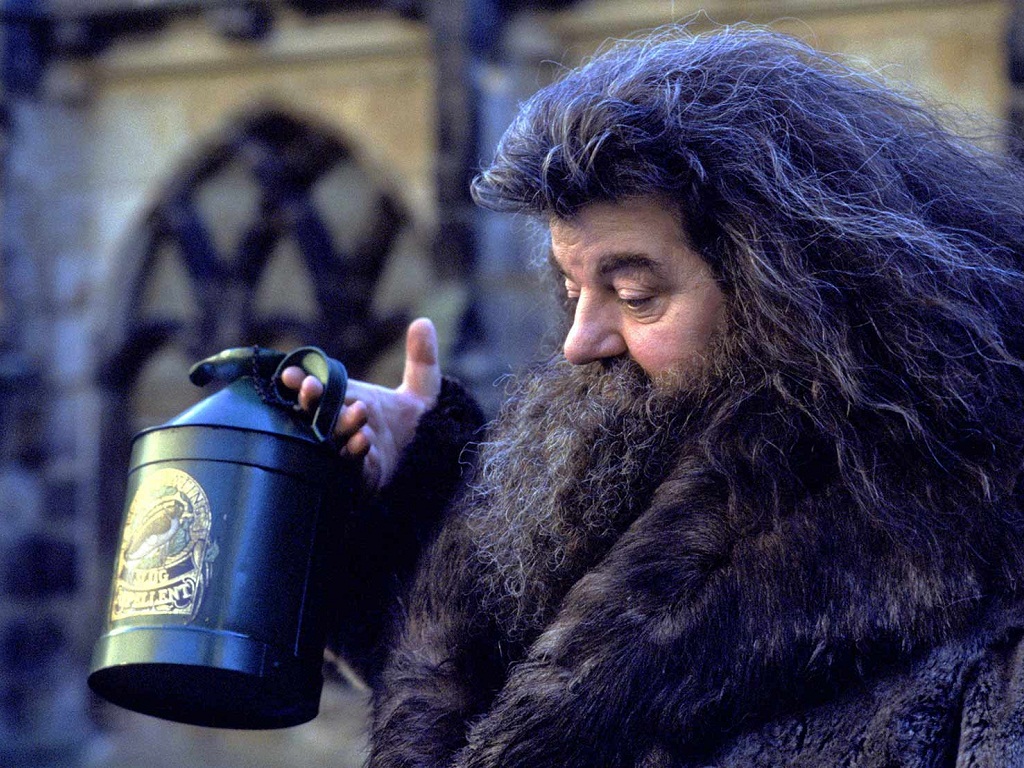 Hagrid Captions And Quotes For Instagram