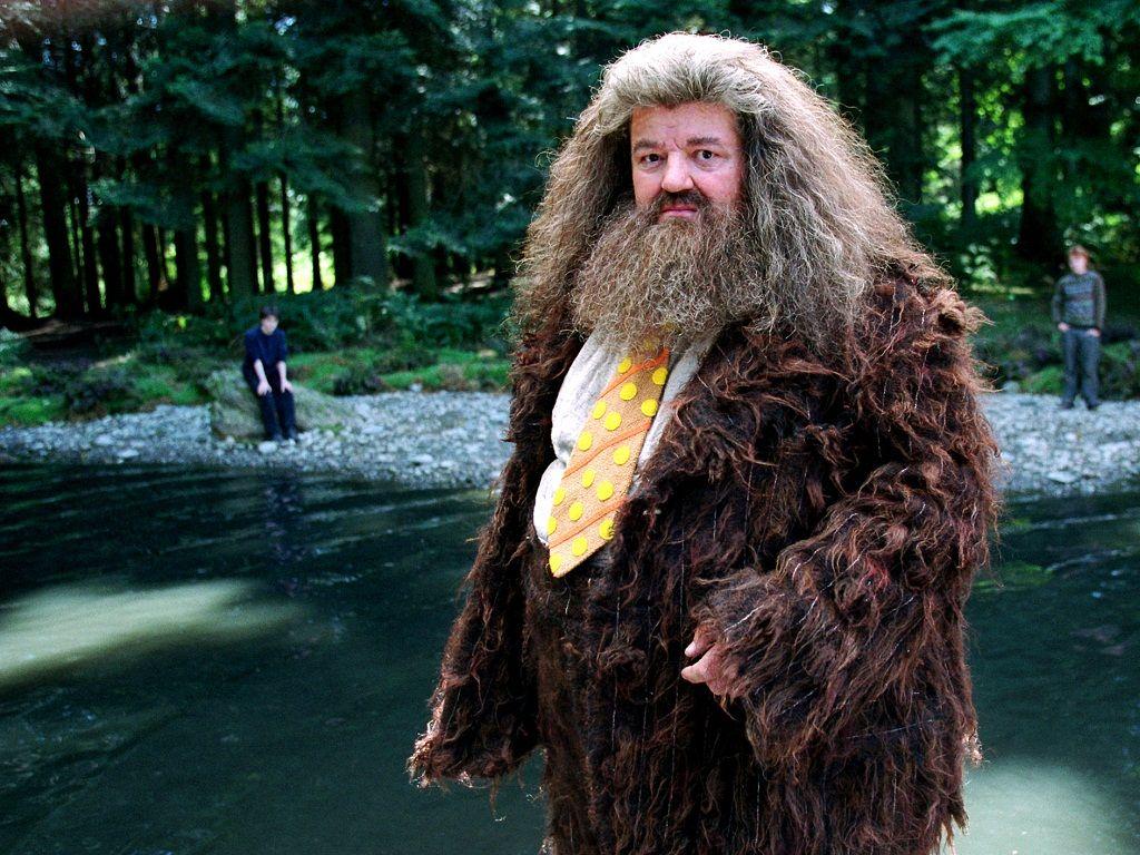 Famous Hagrid Captions
