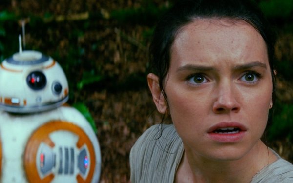Star Wars Rey Captions And Quotes