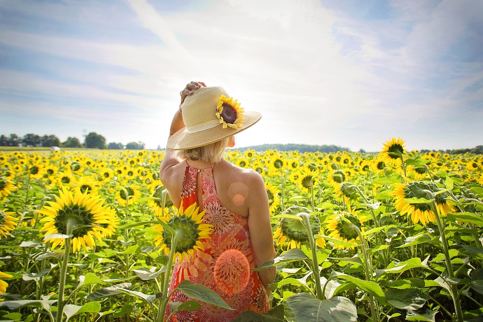 Blooming Sunflower Quotes And Captions For Instagram