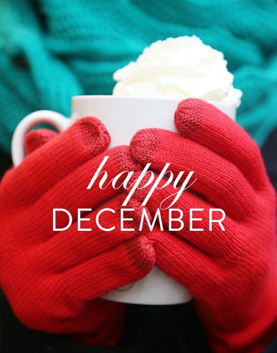 Perfect December Month Captions for Instagram