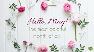 Best May Month Captions