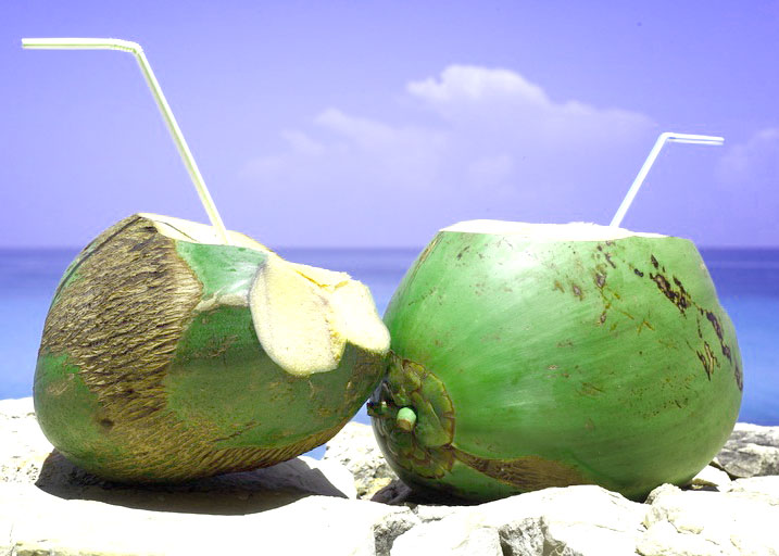 Coconut Captions For Instagram